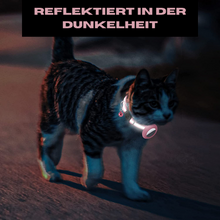 Lade das Bild in den Galerie-Viewer, PurrTrack - Orte deinen vermissten flauschigen Freund schnell und einfach